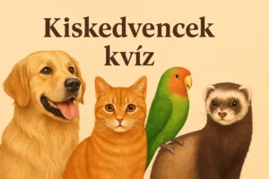 Kiskedvencek okos kvíze