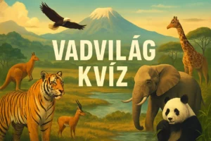 Vadvilág kvíz – fedezd fel az állatok titkait!